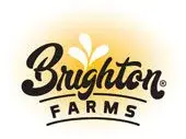 Brighton Farms logo featuring vibrant design, playful font, and fresh farm produce symbolism.